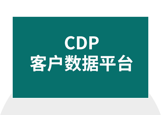 客户数据平台CDP系统