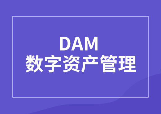 dam数字资产管理有哪些重要功能