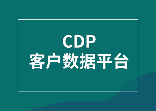 客户数据平台CDP系统
